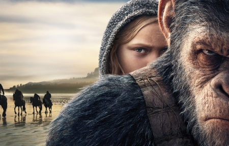 都挺好电视剧海报